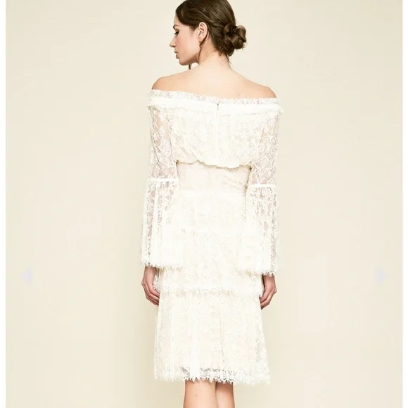 Tadashi Shoji Jacquin off shoulder lace dress size 10 - Picture 2 of 10